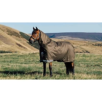 LeMieux Arika Ripstop 100g Turnout Rug