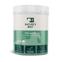 Natures Best Vita-Kiesel Pulver 700g