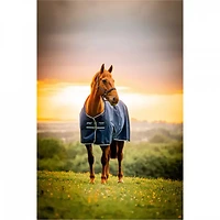 Horseware Amigo Ripstop 900D Plus Turnout 0g