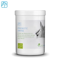 Valetumed Prebiotic Amino 750 g