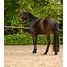 Produkt Thumbnail Doppellonge Classic Silver