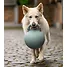 Produkt Thumbnail Waldhausen Fun Ball mit Apfelduft