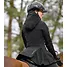 Produkt Thumbnail E·L·T Heizparka Comfort Heat