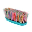 Produkt Thumbnail Waldhausen Staubbürste Rainbow