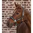 Produkt Thumbnail Waldhausen Halfter Breath Mesh