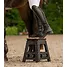 Produkt Thumbnail Waldhausen Klappbare Aufstiegshilfe mit Kokosmatte