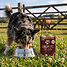Produkt Thumbnail Landpfote - Huhn mit Gemüse 6 x 800 g