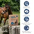 Produkt Thumbnail STRÖH Küsten Esparsette Cobs 27 kg Feedbox