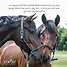 Produkt Thumbnail STRÖH Horse Mash 20 kg Feedbox