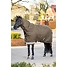Produkt Thumbnail LeMieux Arika Ripstop 50g Turnout Rug 