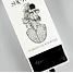 Produkt Thumbnail The Showpin Sparkling Small (12 Pins)