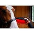 Produkt Thumbnail Horseware LED-Rotlicht-Therapie – Körperpad