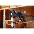 Produkt Thumbnail Horseware LED-Rotlicht-Therapie – Genickhaube