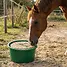 Produkt Thumbnail Panto Leckschale für Pferde 10kg