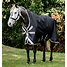 Produkt Thumbnail Horseware Amigo Bravo 1200D Wug Turnout 0g