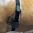 Produkt Thumbnail Horsepal Trainingsband mit Verlängerung