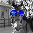 Produkt Thumbnail eQuick® eVysor Brillengläser Kit mirrored blue
