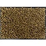 Produkt Thumbnail Höveler Pur.Luzerne Cob 20 kg Sack