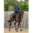 Produkt Thumbnail LeMieux Motionflex Dressurgamaschen mit Fleecekante