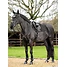 Produkt Thumbnail LeMieux Merino+ Halbunterlegte Eurojump Schabracke