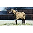 Produkt Thumbnail LeMieux Arika Ripstop 200g Turnout Rug 