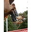 Produkt Thumbnail LeMieux Mimsafe Xc Gamaschen (Hinten)