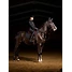 Produkt Thumbnail LeMieux ProForm Close Contact Schabracke
