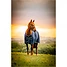 Produkt Thumbnail Horseware Amigo Ripstop 900D Plus Turnout 0g