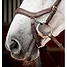 Produkt Thumbnail Horseware Micklem® 2 Multi Bridle