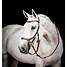Produkt Thumbnail Horseware Micklem® 2 Competition Bridle