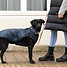 Produkt Thumbnail JEGGO Hundemantel Stockholm