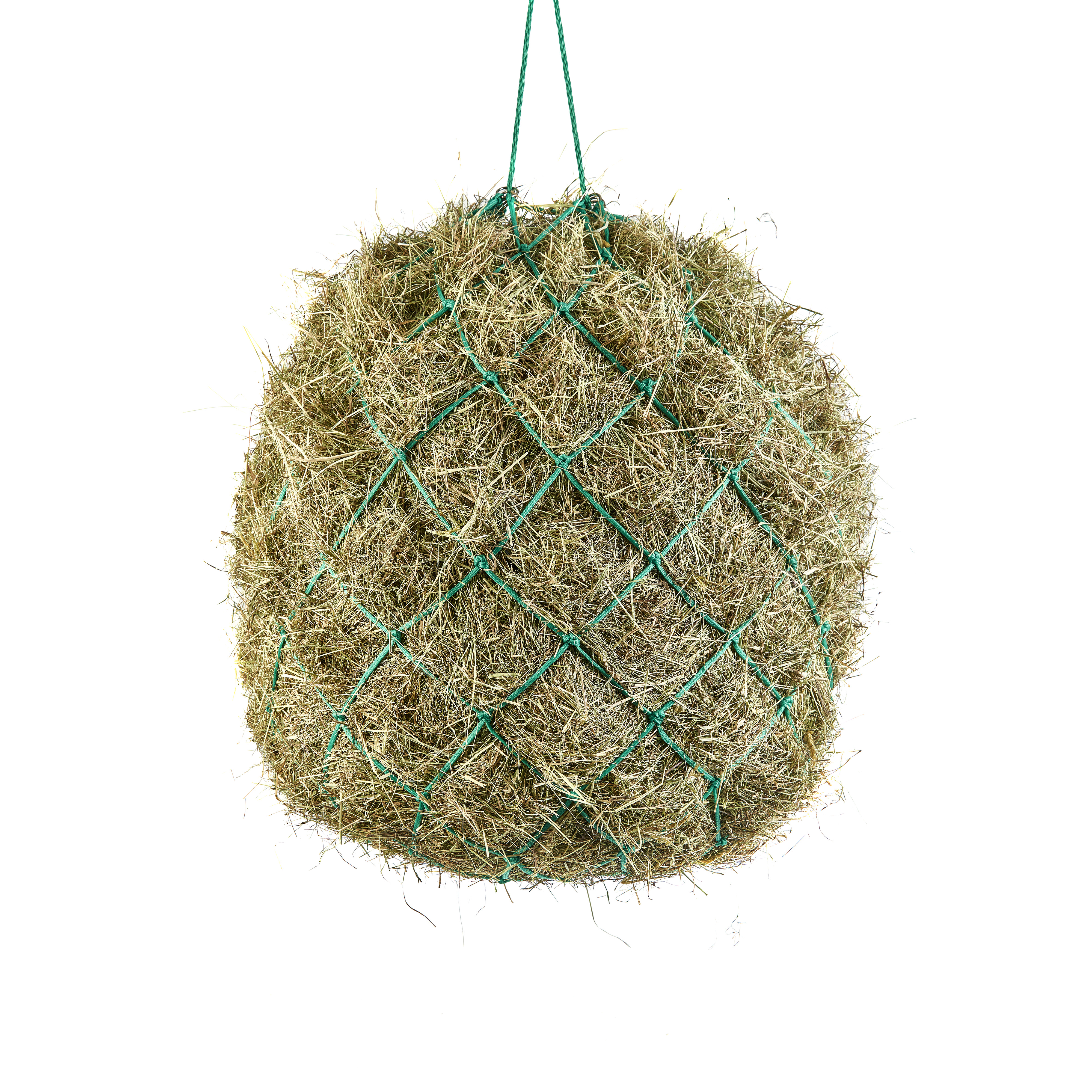 Shires Heunetz 6,5kg 10cm Maschenweite, Grün