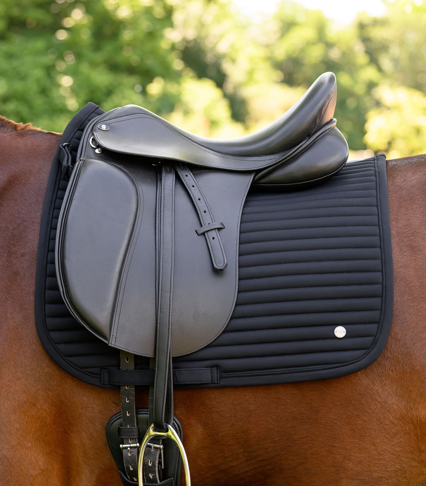 Waldhausen Schabracke Trinidad Schwarz, D