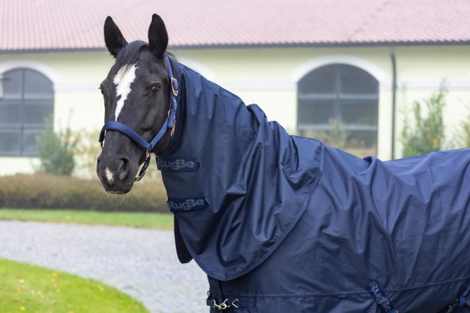 Covalliero Halsteil RugBe Zero Dark Navy, Gr. M
