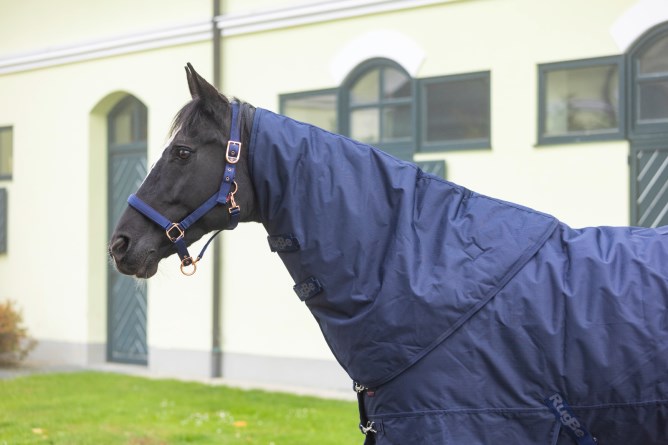Covalliero Halsteil RugBe IceProtect 200g Dark Navy, Gr. M