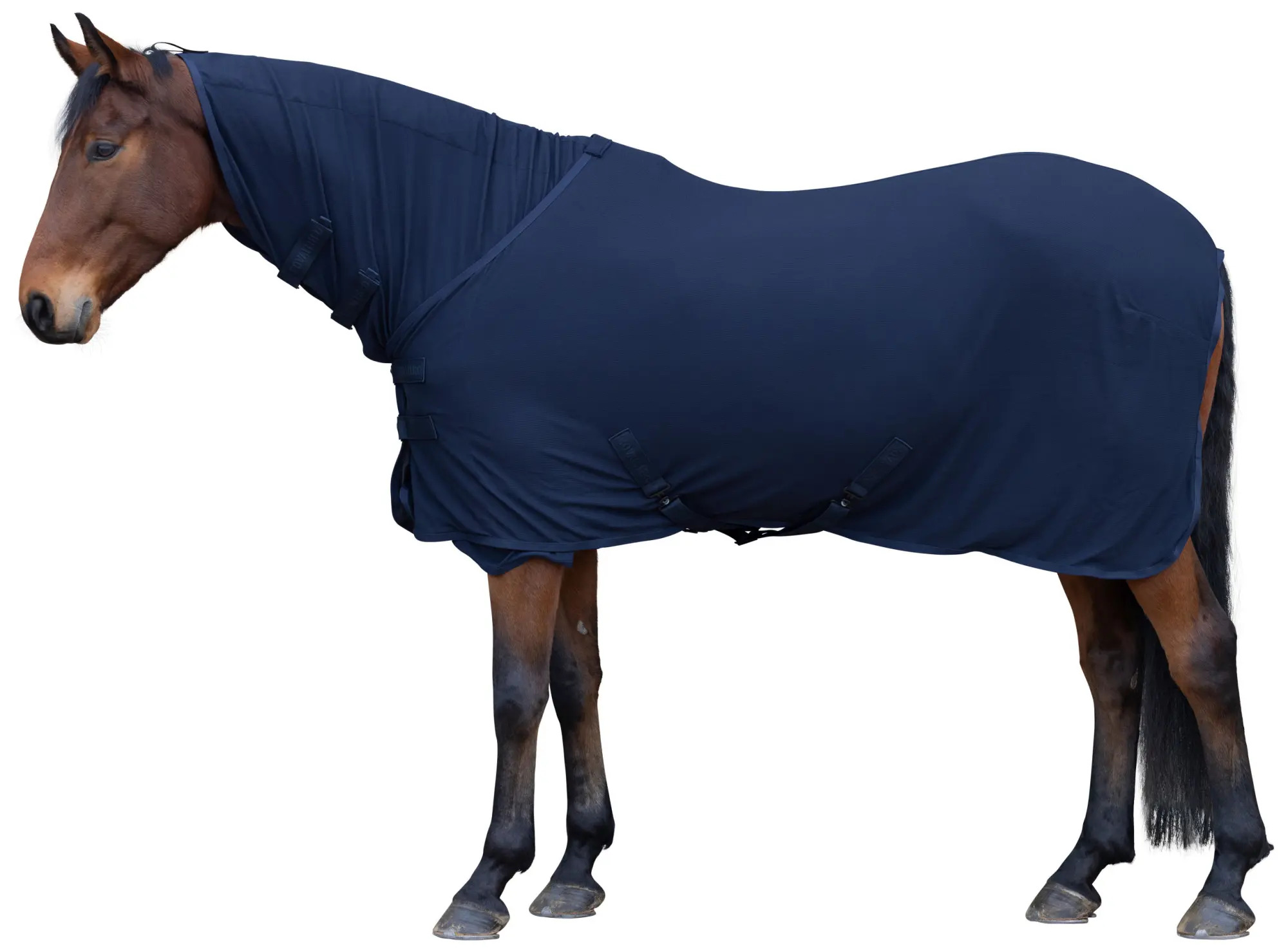 Covalliero Abschwitzdecke Light Dark Navy, Gr. 165 cm