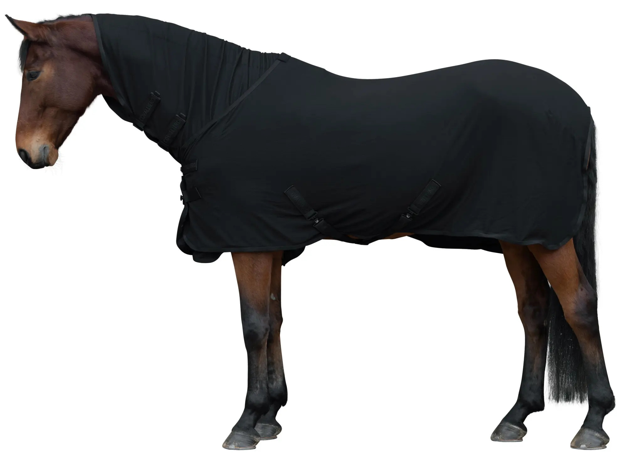 Covalliero Abschwitzdecke Light Schwarz, Gr. 165 cm