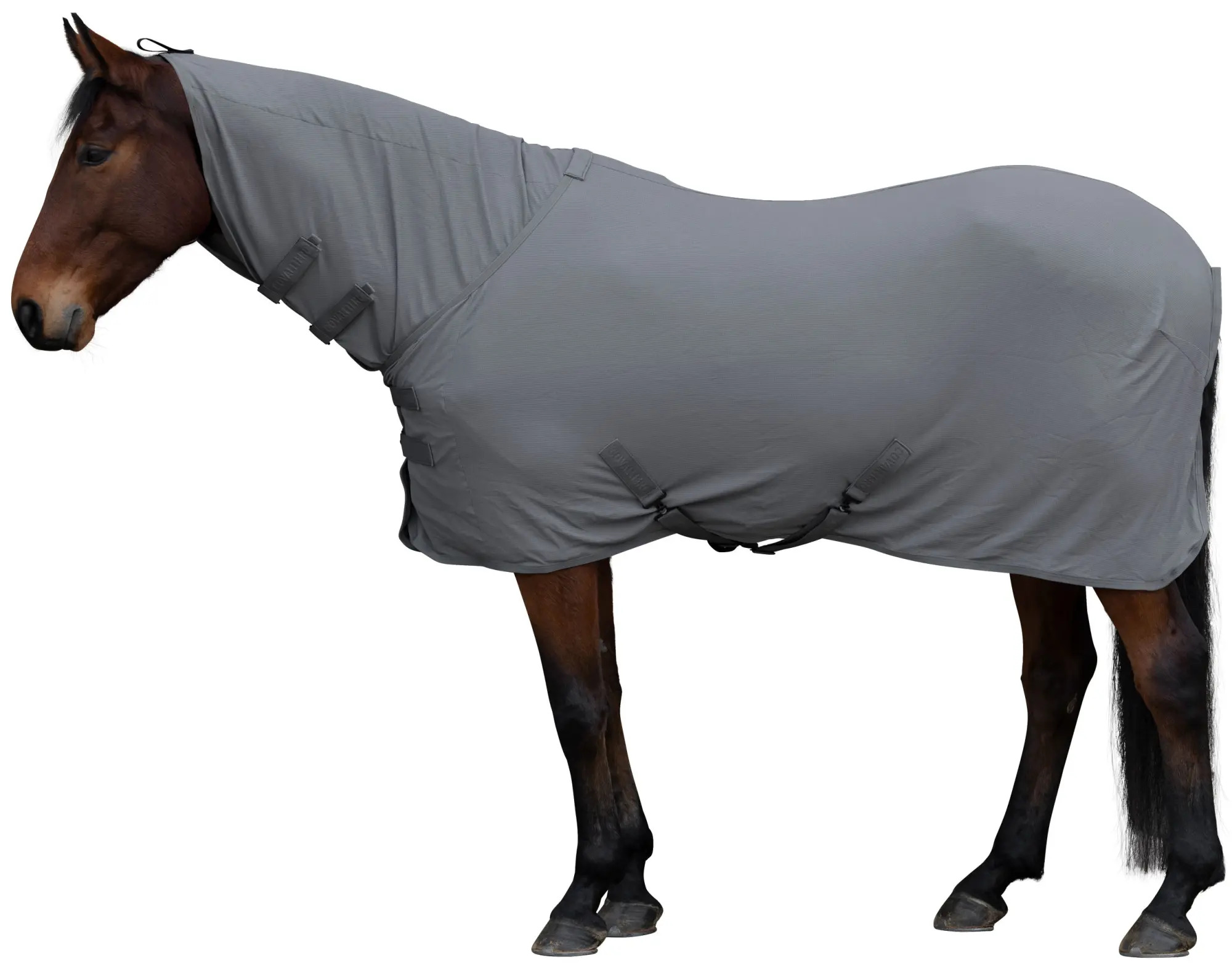 Covalliero Abschwitzdecke Light Steel Grey, Gr. 165 cm