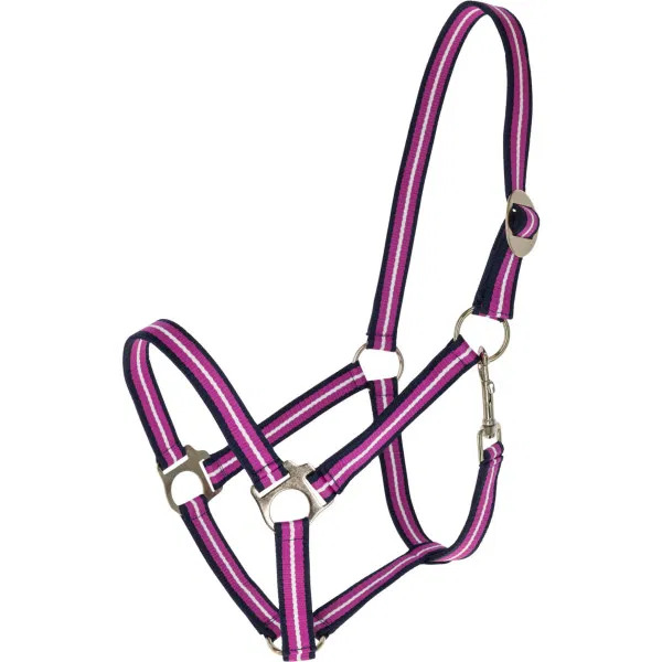 Covalliero Halfter Hippo FS26 dark navy / light berry, Full