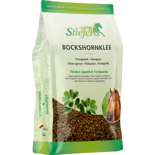 Stiefel Bockshornklee 1 kg Natürliche Quelle für Aminosäuren & Mineralien