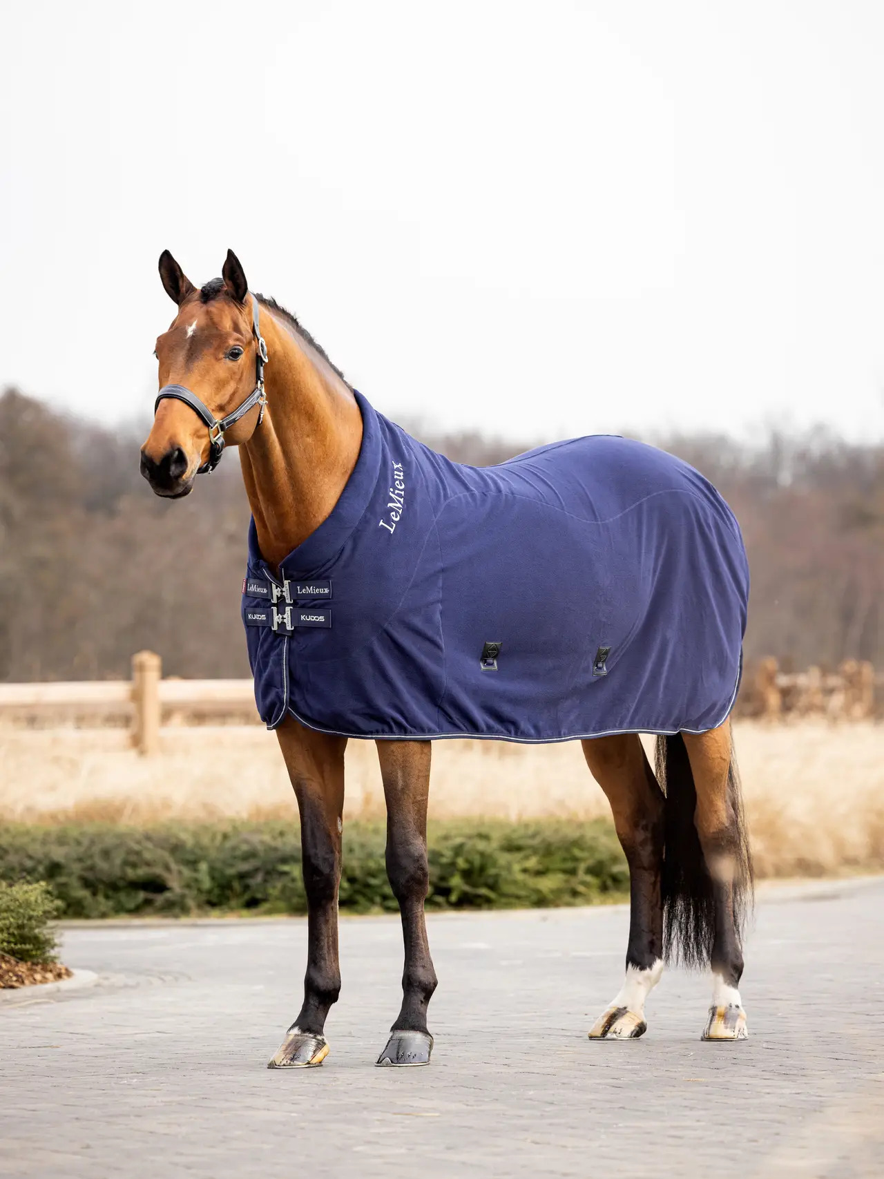 LeMieux Kudos Fleece Cooler Rug Navy, 120 cm