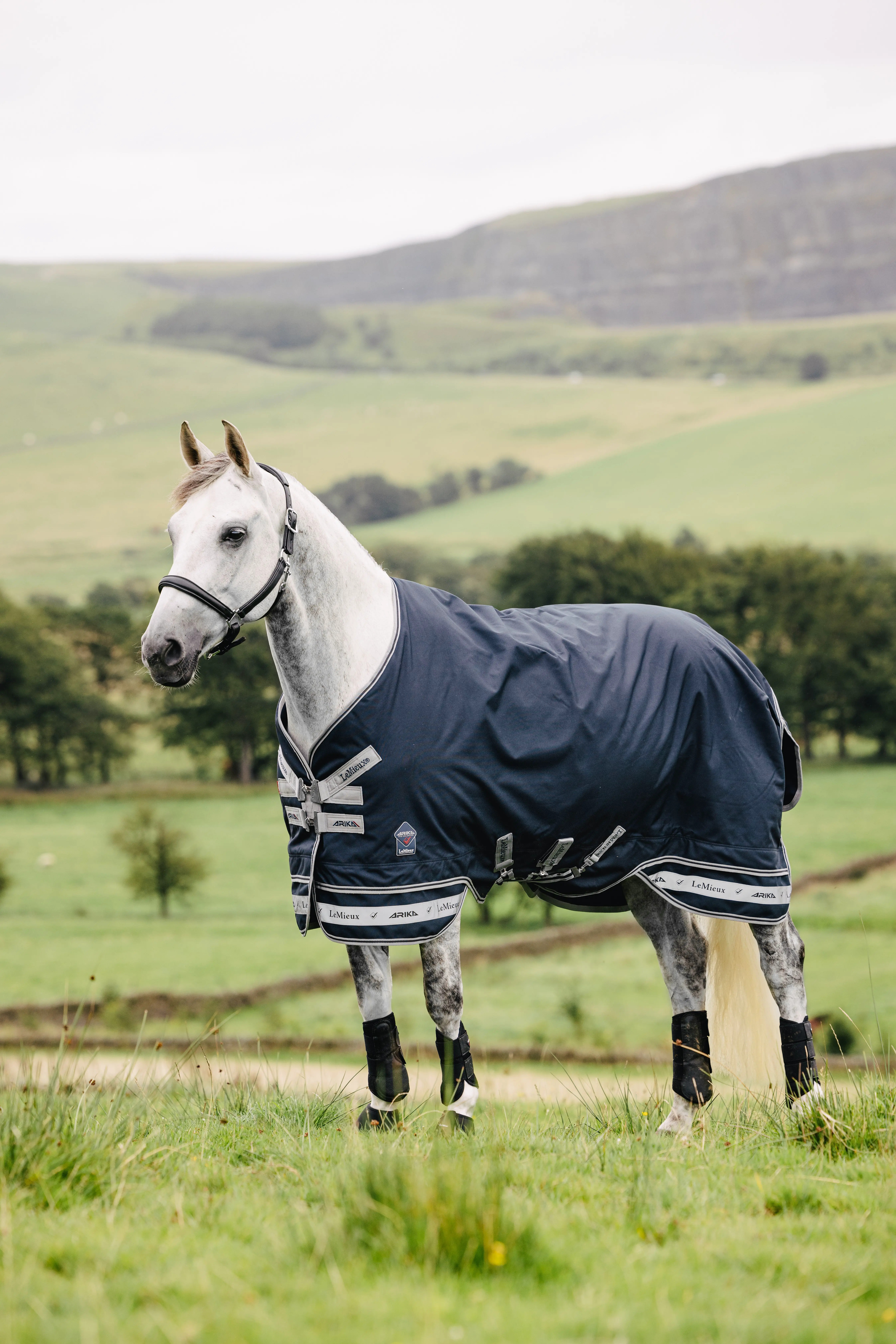 LeMieux Arika Storm-Tek Rug 50g Navy, 120 cm