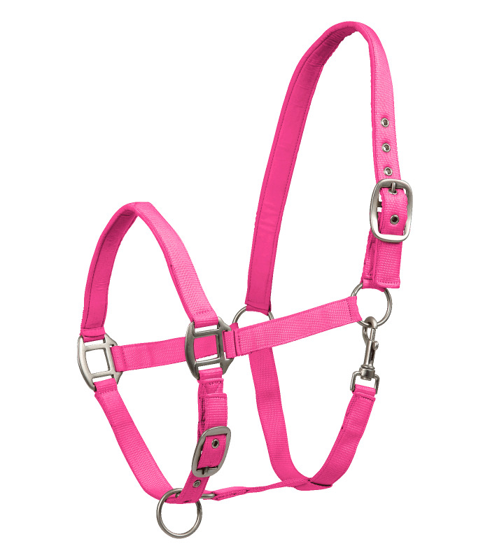 Waldhausen Perlonhalfter Satin Pink, Gr. Xwb