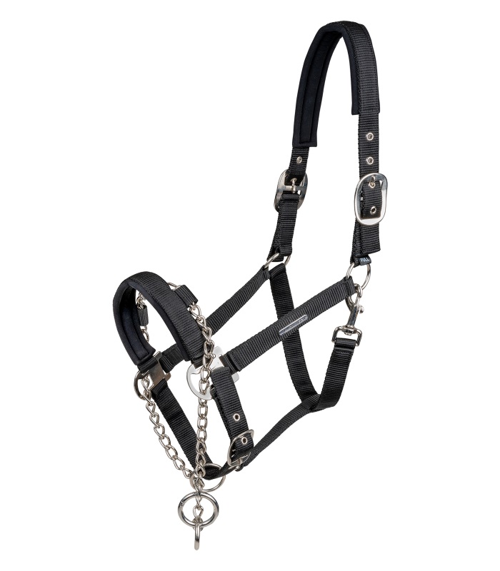 Waldhausen Halfter Pro Safety Schwarz, Vb