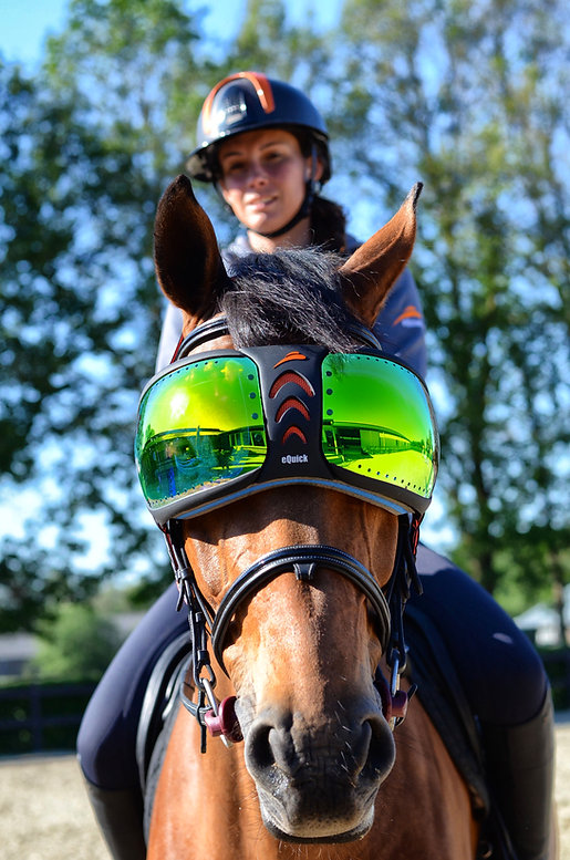 eQuick® eVysor Schutzbrille mirrored green, onesize Augenschutzbrille für Pferde