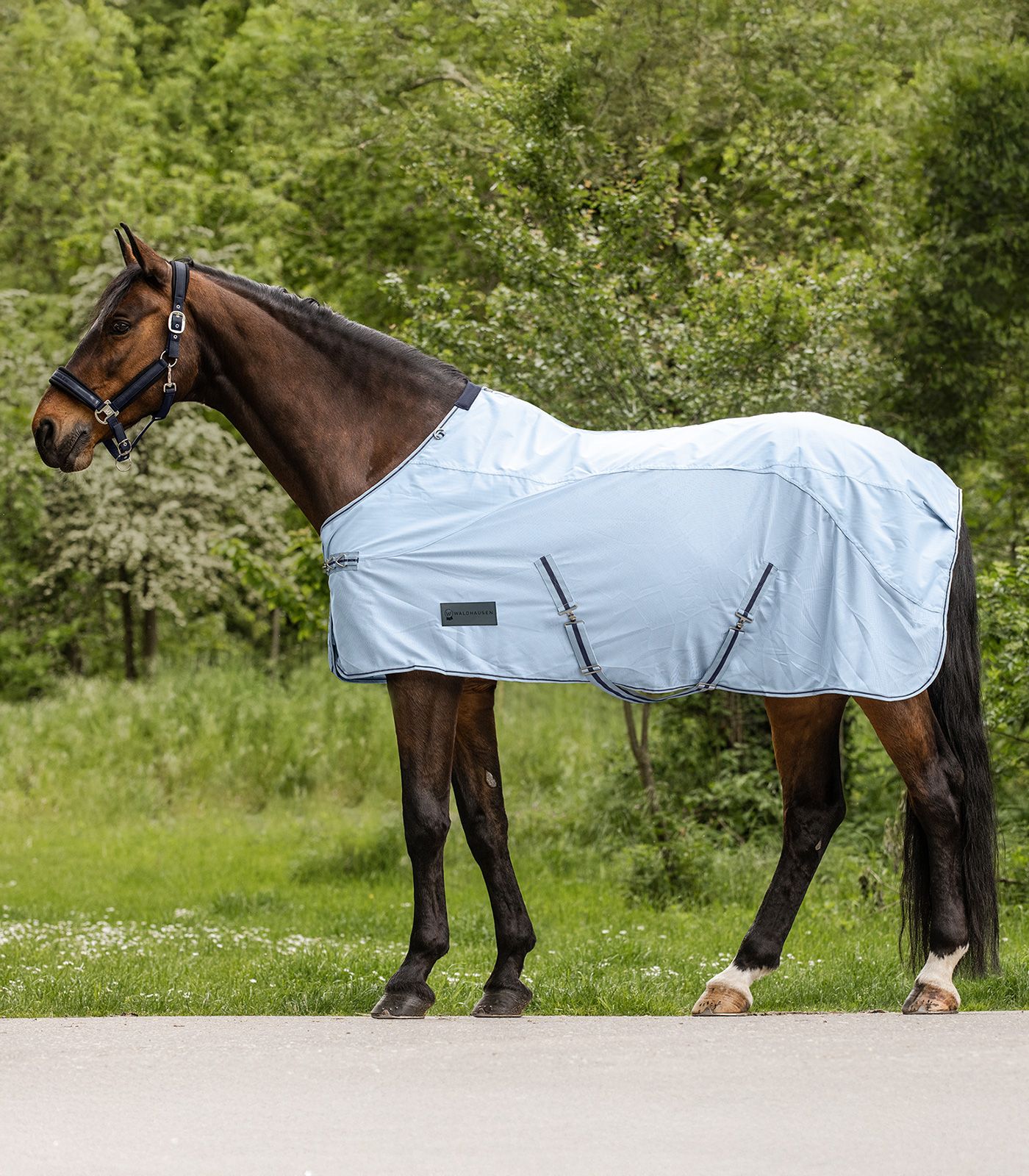 Waldhausen Regen-Fliegendecke Protect Hellblau/ Nachtblau, Gr. 115 cm