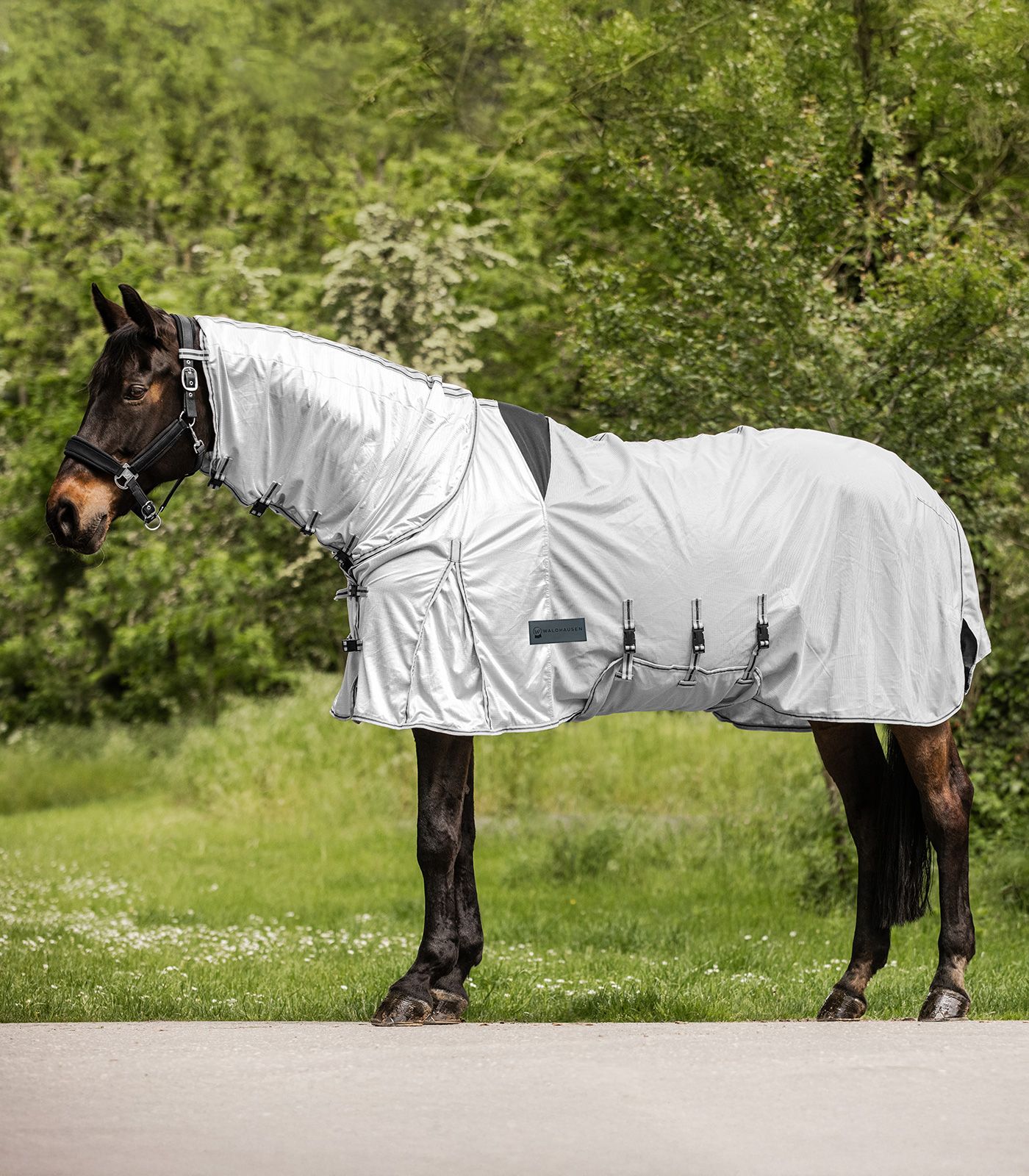 Waldhausen Ekzemer-Fliegendecke Protect Silbergrau/Grau, 115 cm