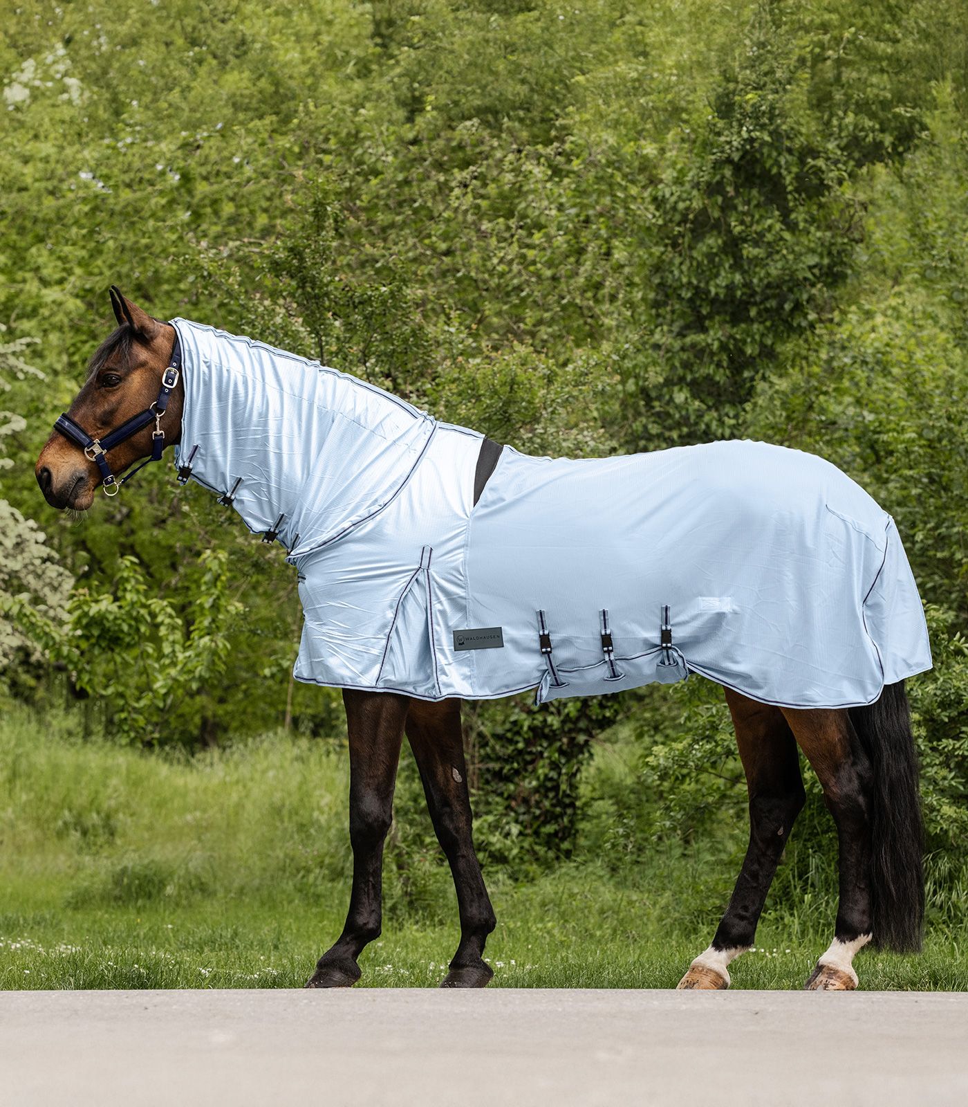 Waldhausen Ekzemer-Fliegendecke Protect Hellblau/ Nachtblau, 155 cm