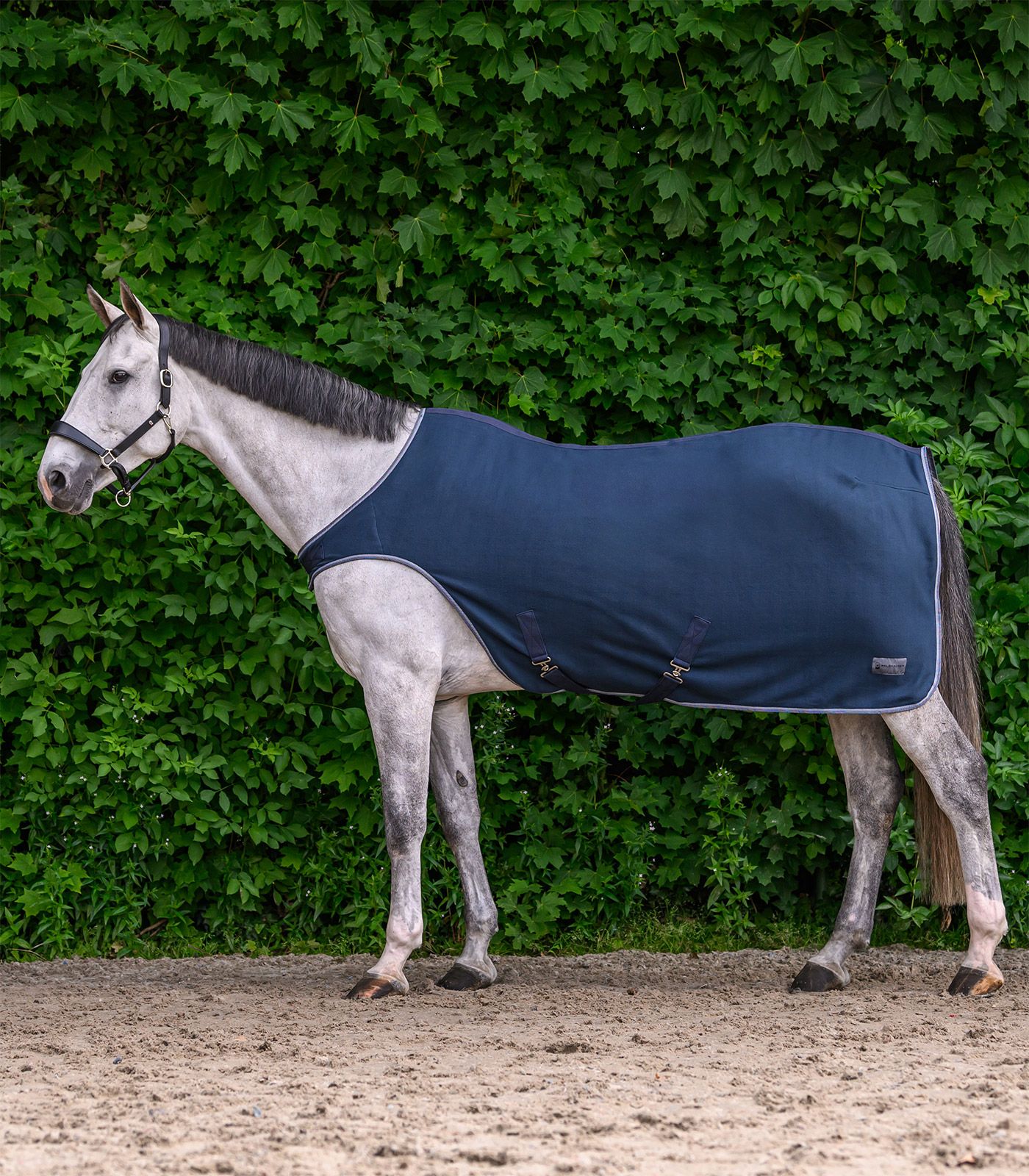 Waldhausen Economic Fleece-Führmaschinendecke Nachtblau, Gr. 155 cm