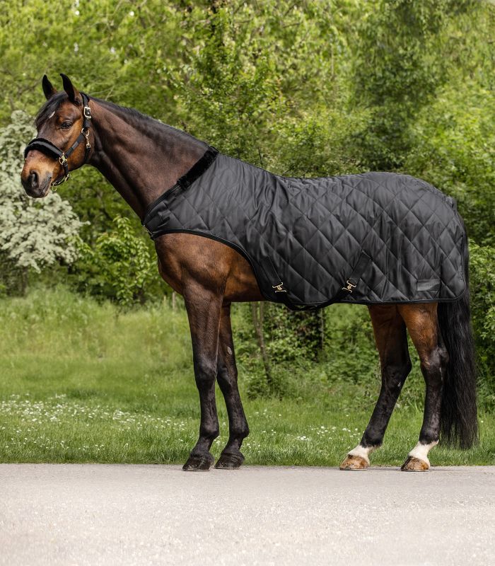 Waldhausen 50g Führmaschinendecke Exclusive Schwarz, Gr. 155 cm